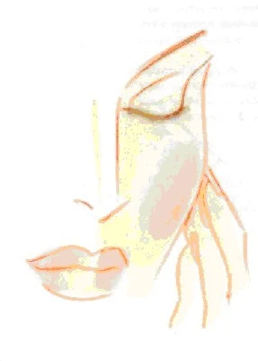 Blog articolo su ceramidi per la pelle